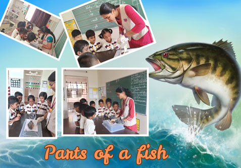   “Tell me and I forgot. Teach me and I remember. Involve me and I learn.”