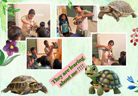 Some lessons are read but this one met eye – to – eye.