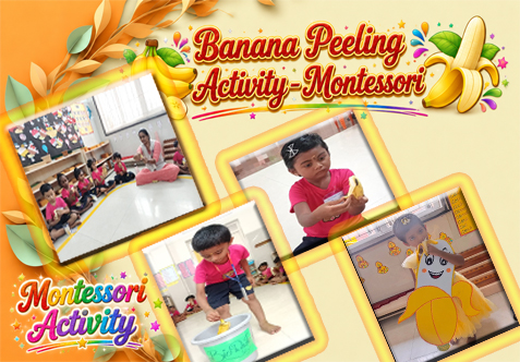 Our young learners recently engaged in the delightful Peeling Banana Activity, where a simple fruit became a meaningful learning experience. With eager hands and focused minds, the children carefully peeled and enjoyed their bananas independently.